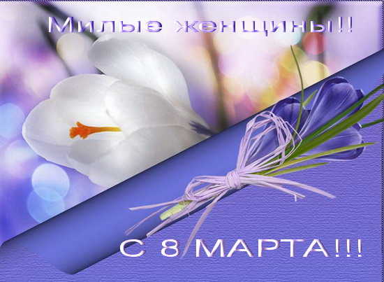 С 8 марта (550x403, 68Kb)